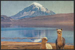 Bild in Slideshow öffnen, Fussmatte Alpaca 10331
