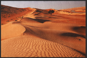 Bild in Slideshow öffnen, Fussmatte Wüste 10417

