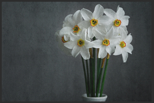 Bild in Slideshow öffnen, Fussmatte Blumenstrauß 10641
