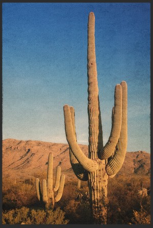Bild in Slideshow öffnen, Fussmatte Kaktus 10698
