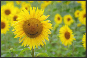 Bild in Slideshow öffnen, Fussmatte Sonnenblume 10725
