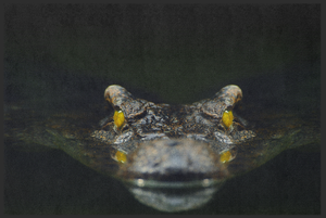 Bild in Slideshow öffnen, Fussmatte Krokodil 10804
