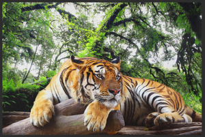 Bild in Slideshow öffnen, Fussmatte Tiger 10819
