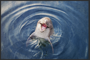 Bild in Slideshow öffnen, Fussmatte Delfin 10870
