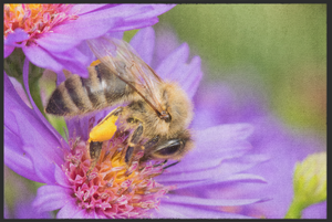 Bild in Slideshow öffnen, Fussmatte Biene und Blüte 10874

