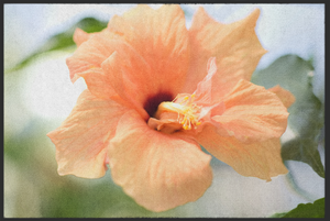 Bild in Slideshow öffnen, Fussmatte Blume 10990
