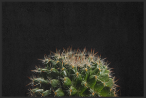 Bild in Slideshow öffnen, Fussmatte Kaktus 11003
