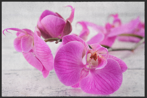 Bild in Slideshow öffnen, Fussmatte Orchideen 11008
