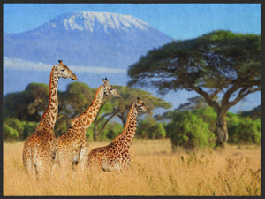 Bild in Slideshow öffnen, Fussmatte Afrika 4946-Matten-Welt
