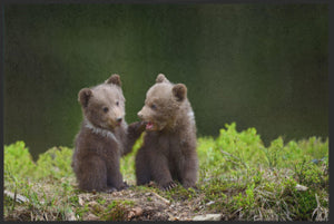 Bild in Slideshow öffnen, Fussmatte Bären 4523-Matten-Welt
