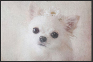 Bild in Slideshow öffnen, Fussmatte Chihuahua 4628-Matten-Welt
