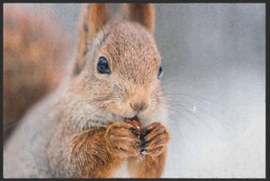 Bild in Slideshow öffnen, Fussmatte Eichhörnchen 4529-Matten-Welt

