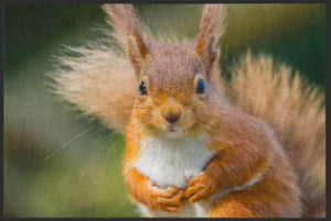 Bild in Slideshow öffnen, Fussmatte Eichhörnchen 6080-Matten-Welt

