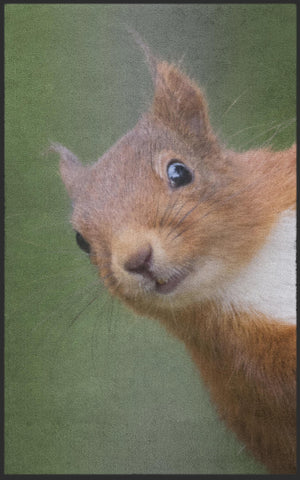 Bild in Slideshow öffnen, Fussmatte Eichhörnchen 7271-Matten-Welt
