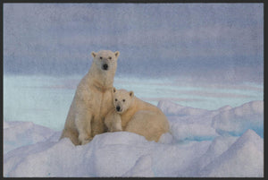 Bild in Slideshow öffnen, Fussmatte Eisbär 4809-Matten-Welt
