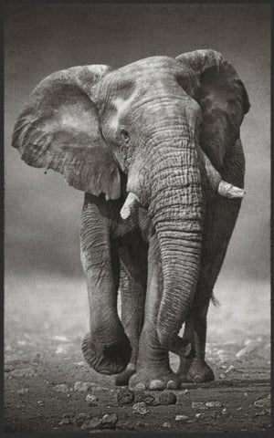 Bild in Slideshow öffnen, Fussmatte Elefant 7481-Matten-Welt
