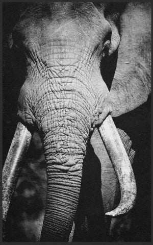 Bild in Slideshow öffnen, Fussmatte Elefant 7786-Matten-Welt
