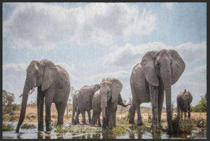 Bild in Slideshow öffnen, Fussmatte Elefanten 4518-Matten-Welt
