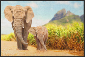 Bild in Slideshow öffnen, Fussmatte Elefanten 6107-Matten-Welt
