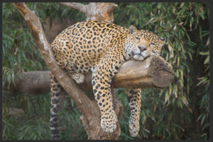Bild in Slideshow öffnen, Fussmatte Gepard 6051-Matten-Welt
