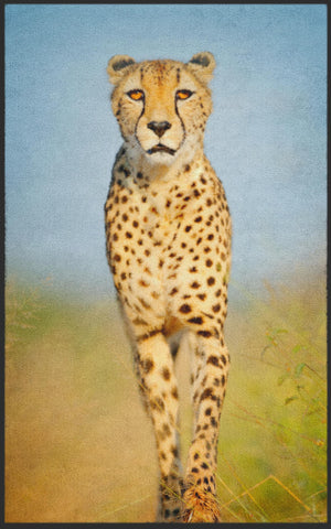 Bild in Slideshow öffnen, Fussmatte Gepard 7785-Matten-Welt
