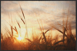 Bild in Slideshow öffnen, Fussmatte Getreide 6078-Matten-Welt

