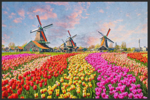 Bild in Slideshow öffnen, Fussmatte Holland 4556-Matten-Welt
