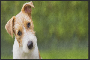 Bild in Slideshow öffnen, Fussmatte Hund 4541-Matten-Welt
