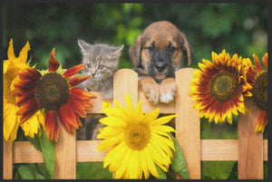 Bild in Slideshow öffnen, Fussmatte Hund und Katze 4534-Matten-Welt
