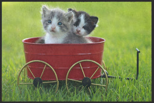 Bild in Slideshow öffnen, Fussmatte Kätzchen 4325-Matten-Welt
