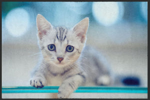 Bild in Slideshow öffnen, Fussmatte Kätzchen 4510-Matten-Welt
