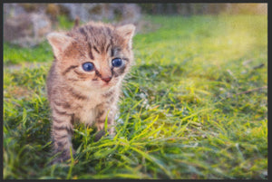 Bild in Slideshow öffnen, Fussmatte Kätzchen 6108-Matten-Welt
