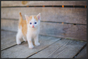 Bild in Slideshow öffnen, Fussmatte Katze 4818-Matten-Welt

