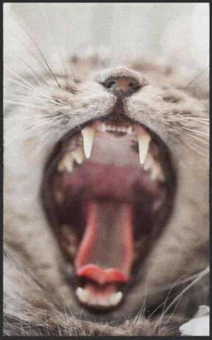 Bild in Slideshow öffnen, Fussmatte Katze 7309-Matten-Welt
