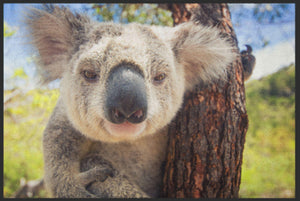 Bild in Slideshow öffnen, Fussmatte Koala 5085-Matten-Welt
