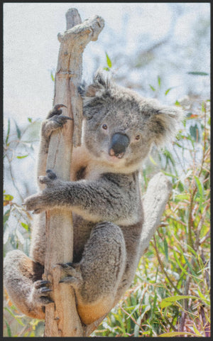 Bild in Slideshow öffnen, Fussmatte Koala 7596-Matten-Welt
