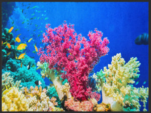 Bild in Slideshow öffnen, Fussmatte Koralle 4991-Matten-Welt
