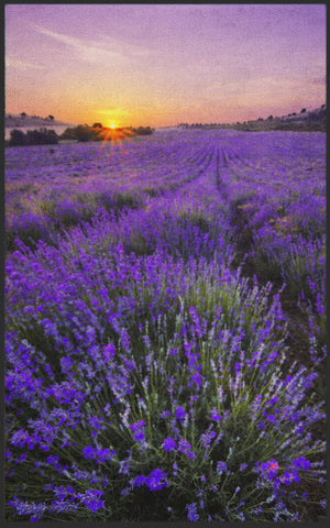 Bild in Slideshow öffnen, Fussmatte Lavendel 7139-Matten-Welt
