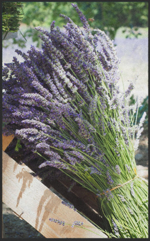 Fussmatte Lavendel 7597-Matten-Welt