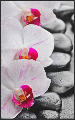 Bild in Slideshow öffnen, Fussmatte Orchidee 7120-Matten-Welt
