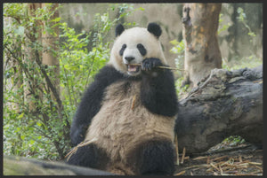 Bild in Slideshow öffnen, Fussmatte Pandabär 4526-Matten-Welt
