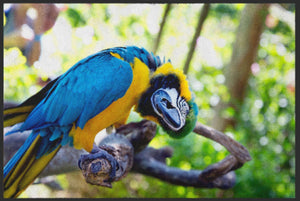 Bild in Slideshow öffnen, Fussmatte Papagai 4540-Matten-Welt
