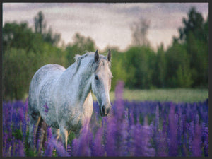 Bild in Slideshow öffnen, Fussmatte Pferd 4981-Matten-Welt
