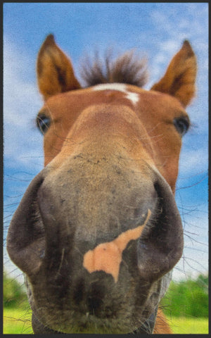 Bild in Slideshow öffnen, Fussmatte Pferd 7140-Matten-Welt
