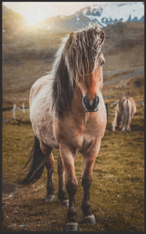 Bild in Slideshow öffnen, Fussmatte Pferd 7642-Matten-Welt
