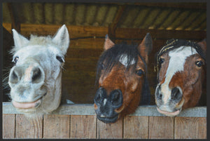 Bild in Slideshow öffnen, Fussmatte Pferde 4627-Matten-Welt
