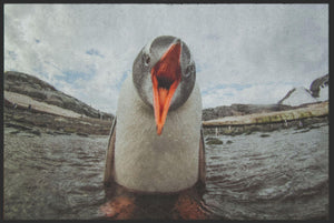 Bild in Slideshow öffnen, Fussmatte Pinguin 4810-Schmutzfangteppich Welt
