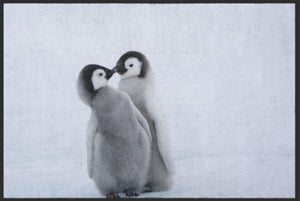 Fussmatte Pinguin 4812-Matten-Welt