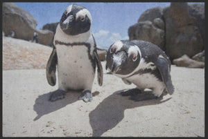 Bild in Slideshow öffnen, Fussmatte Pinguin 6071-Matten-Welt

