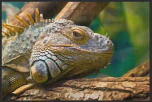Bild in Slideshow öffnen, Fussmatte Reptil 6212-Matten-Welt
